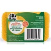 Peachy Clean 8353 Dish Fruit & Vegetable Scrubbers, Silicone