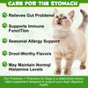Cat Probiotic Powder, Cat Probiotics for Gut Health, Probiotic Powder