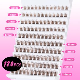Veleasha Brown Lash Clusters 120 Pieces DIY Lash Extension D Curl Eyelash Clusters Wispy False Eyelashes Natural Look at Home (Fariy Brown, 8-16 mm)