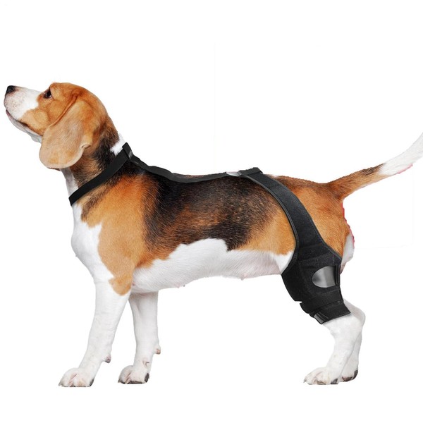 Knee Brace for Dogs | Dog Rear Leg Sleeve |