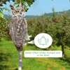 2PCS Reflective Owl Scarer Devices Plastic Owl Hanging Decoration Woodpecker