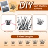 RITALASH Lash Clusters DIY Cluster Lashes Volume Eyelash Clusters Eyelash