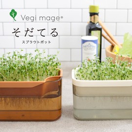 OKA Vegetable Sprout Pot, Brown (Broccoli, Sprout, Home Garden, Pea Planting, Hydroponics, Hydroponic Cultivation, Plys