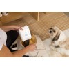 Eye Pet WiPees™ – Gentle, Lick-Safe Eye Wipes for Dogs