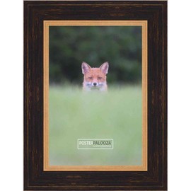 Poster Palooza A3 11.7x16.5 Traditional Black Complete Wood Picture Frame with UV Acrylic Plexiglass, Foam Board Backing & Hardware Included