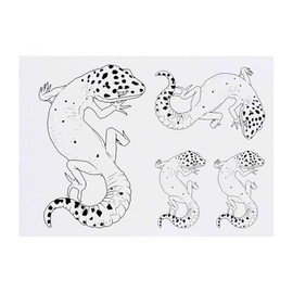 4 x 'Leopard Gecko' Temporary Tattoos - Water Resistant, Skin-Safe, Non-Toxic Transfers, Mixed Sizes (TO00085052)