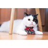 Gyapet Cat Collar with Bow Tie Flower Sailor Bowtie Breakaway