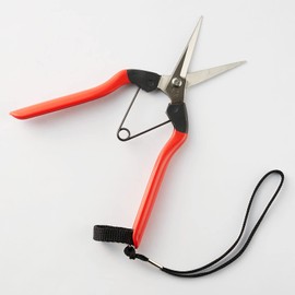 Agurino Kura (Agurino Kura) Sprout Shears, Stainless Steel, 7.3 inches (185 mm), Strap Included, Made in Japan, Made in Niigata Prefecture, Made in Sanjo, For Fine Tasks, Rust and Sib Resistant, For
