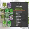 Meekear 10 Kit Non-GMO Growing into Thyme, Lavender, Chamomile, Dill,