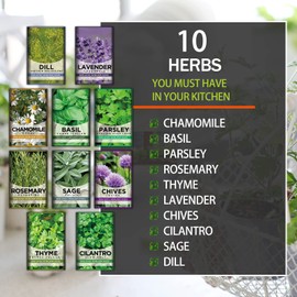 Meekear 10 Kit Non-GMO Growing into Thyme, Lavender, Chamomile, Dill, Chives, Cilantro, Rosemary, Basil, Parsley, Sage Indoor/Outdoor for Kitchen Windowsill Gardening Gift