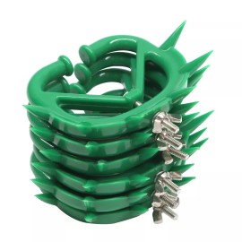 zikimed Calf Weaner Green Color Plastic Large Size 95 X 75 mm 6-Pcs Set