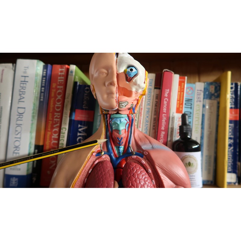 Lugols Iodine Solution 15% - Twin Pack - 50ml x