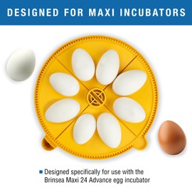 Brinsea Extra Large Egg Quadrant Insert for Maxi Advance Incubator System, Fits 8 Goose-Size Eggs