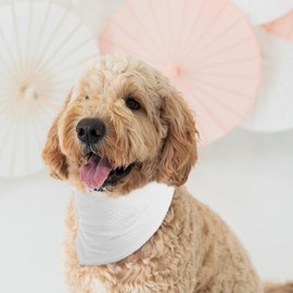 ICEMOOD Pet Cotton Bandanas with Adjustable Snap Button for Small Puppies - Plain Dog Bandana,White,M