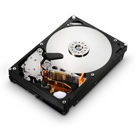 HGST Ultrastar 3.5-Inch 2TB 7200RPM SATA III 6Gbps 64MB Cache Enterprise Hard Drive with 24x7 Duty Cycle (0F14685)