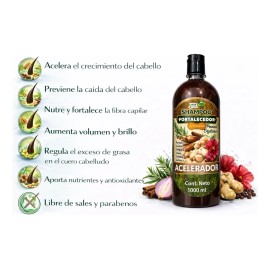 Shampoo Acelerador Crecimiento Cabello Romero Jengibre Canel