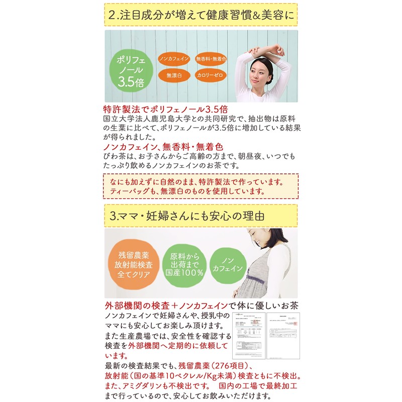 Honjien Tea Koshima Prefecture, Healthy Tea, 0.07 oz (2 g)