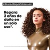 L´Oréal Professionnel Absolut Repair Molecular Serum Pre-tratamiento 250ml