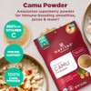Navitas Organics Camu Camu Powder, 3 oz. Bag — Organic,