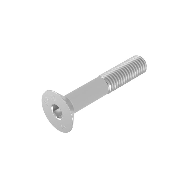 Vite a testa svasata SECCARO M10 x 55 mm, acciaio
