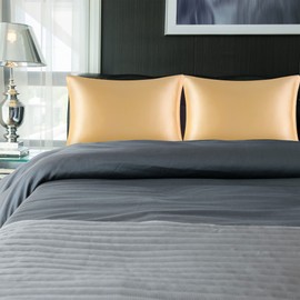 PiccoCasa Satin Pillow Cases 2 Pack, Satin Silk Pillowcase for Hair and Skin with Zipper Closure Soft Pillow Cases Cover Set Champagne 50 x 90cm