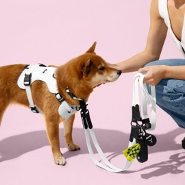 THE LICKER STORE HNS1001F Arlo Small Adjustable Soft Padded No Pull Pet Harness with 3 Buckles and 3 Leash Clips, Seltzer