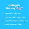 Premium Grass-fed Collagen for Dogs Skin and Coat Supplement, Cats