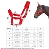 Adjustable Horse Halter with Polar Fleece Lined, Breakaway Halter with