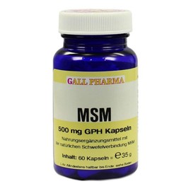 MSM 500 mg GPH Capsules Pack of 60