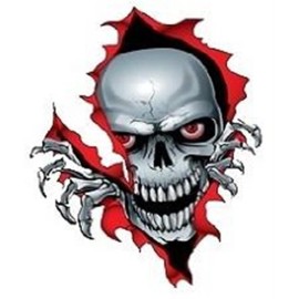 SKULL COMING STICKER LAPTOP STICKER HARD HAT STICKER HELMET STICKER TOOLBOX