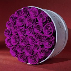 Forever Real Roses in Suede Box - 27-Piece Roses in a Luxury Box - Real Preserved Roses That Last Over a Year - Valentines Day Flowers for Delivery Prime - Mothers Day, Christmas, Birthday (Purple)