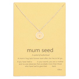VZBarn Miscarriage Gifts for Mothers Dainty Circle Pendant Necklace Silver