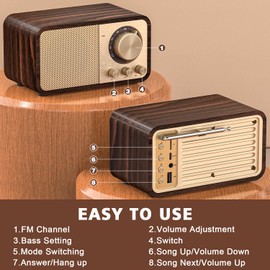 Tendak FM Radio with Best Reception, Portable Transistor Radio with 5W Speaker, Rechargeable Vintage Radios for Home Outdoor, Support TF Card Play, USB MP3 Player, AUX, Bass Mode