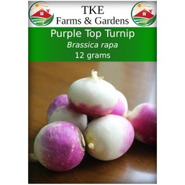 TKE Farms & Gardens - Purple Top Turnip Seeds for Planting, 12 Grams, 5000 Heirloom Seeds, Non-GMO, Packet Includes Instructions for Growing, Brassica rapa, Qty 1