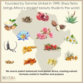 Shea Terra Organics Aceites extra virgen prensados en frío para todos los tipos de piel, 2 oz, gris, 2 Ounces