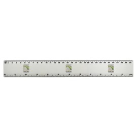 'Together We Thrive' 30cm (12 Inch) White Plastic Ruler (RL00092354)