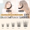 QUEWEL Individual Eyelashes, Individual Eyelash Clusters, Lashes, Natural, D Curl,