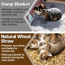 Natural Wheat Straw - 3 LB Dry Straw, Clean and Soft Decorative Straw Bale for Stray Cats Dogs Yard Farm Pets Garden Mulch Grass Cover