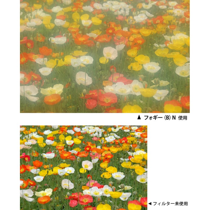 Kenko レンズフィルター フォギー (B) N 49mm ソフト効果用 199435