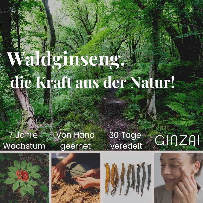 GINZAI Conditioner 300 ml with Ginseng, vegan, against dry and