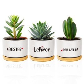 coTaSiEY Teacher Gift, Best Teacher Flower Pot Flower Pots Thank You Educator Farewell Gift Christmas Gift for Leaving Educator Ideas Teacher Appreciation Gifts