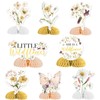 Jollyboom Wildflower Party Decoration Girl, 8pcs She is A Wildflower