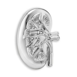 Dr's gift Kidney Anatomy Enamel Brooch Pin Silver Renal Lapel Badge Endocrinology Urology Jewelry for Doctors Nurses Medical Students