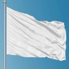 CMD Class Flags, White, Plain, 4 Flags, Cheering Flags, 59.1