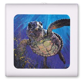 Plug in Dimmable LED Night Light with Dusk to Dawn Auto Sensor, Adjustable Brightness, Warm Light, Auto On-Off Nightlight for Bathroom, Hallway, Nursery, Bedrooms - Sea Turtle