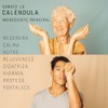 Crema Natural para el Cuerpo a base de Caléndula -