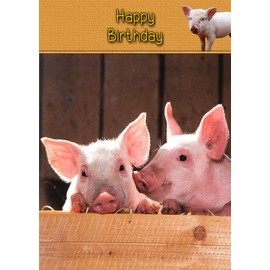 Pig Birthday Card