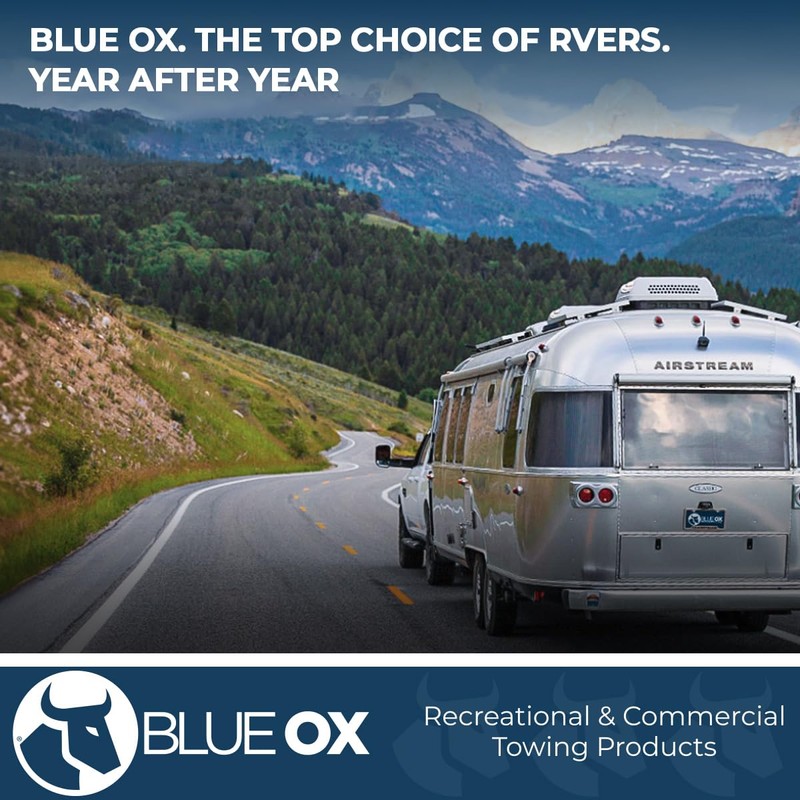 Blue Ox BX88340 Rise/Drop Receiver, Black