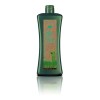 Salerm Biokera Shampoo Grasa 1lt