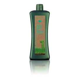 Salerm Biokera Shampoo Grasa 1lt                                                                                                                      